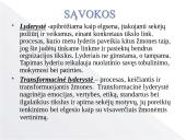 Lyderystės tipų skaidės 4 puslapis