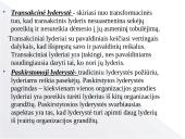 Lyderystės tipų skaidės 5 puslapis