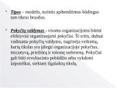 Lyderystės tipų skaidės 6 puslapis