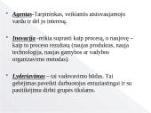 Lyderystės tipų skaidės 8 puslapis