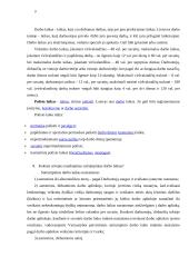 Saugos kontroliniai klausimai 3 puslapis