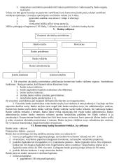 Bankininkystė ir komerciniai bankai 3 puslapis