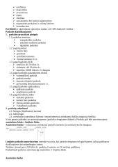 Bankininkystė ir komerciniai bankai 7 puslapis