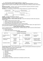 Bankininkystė ir komerciniai bankai 9 puslapis