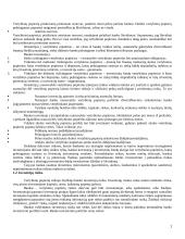 Banko investicijų valdymas 2 puslapis