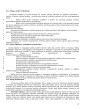 Banko investicijų valdymas 13 puslapis