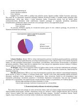 Banko investicijų valdymas 7 puslapis