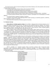 Banko investicijų valdymas 8 puslapis