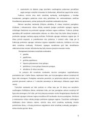 Tarnybinių nuobaudų skyrimo ir panaikinimo pagrindas ir tvarka statutiniams valstybės tarnautojams 5 puslapis