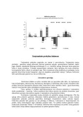Bendrasis vidaus produktas 11 puslapis