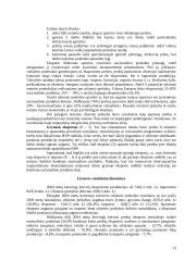 Bendrasis vidaus produktas 12 puslapis