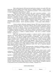 Bendrasis vidaus produktas 13 puslapis