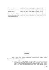 Bendrasis vidaus produktas 19 puslapis