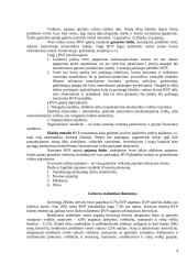 Bendrasis vidaus produktas 3 puslapis