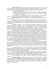 Bendrasis vidaus produktas 7 puslapis