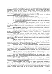 Bendrasis vidaus produktas 9 puslapis