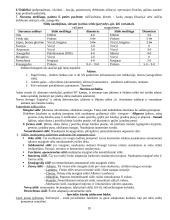 Bendrosios chirurgijos teorija 19 puslapis