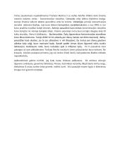 Holokaustas - žydų isbandymo laikotarpis 2 puslapis