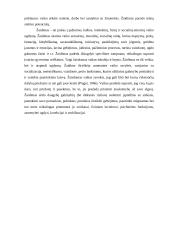 Berniukų ir mergaičių žaidimai 2 puslapis