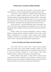 Berniukų ir mergaičių žaidimai 14 puslapis