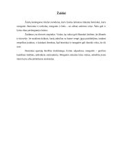 Berniukų ir mergaičių žaidimai 5 puslapis