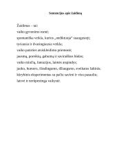 Berniukų ir mergaičių žaidimai 9 puslapis