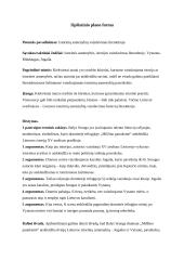 Istorinių asmenybių vaizdavimas literatūroje (išplėstinis planas)