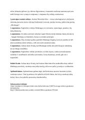 Istorinių asmenybių vaizdavimas literatūroje (išplėstinis planas) 2 puslapis