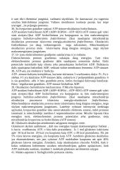 Apie angliavandenius 11 puslapis