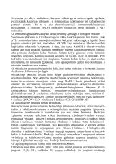Apie angliavandenius 12 puslapis