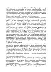 Apie angliavandenius 7 puslapis