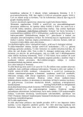 Apie angliavandenius 8 puslapis