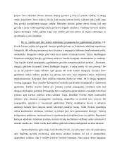 Ar visada teisus tas, kuris turi valdžią? (Orvelas) 2 puslapis