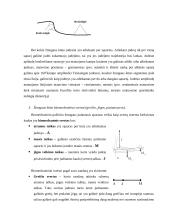 Biomechanikos taikymo sritys 2 puslapis