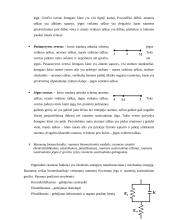 Biomechanikos taikymo sritys 3 puslapis