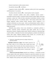 Biomechanikos taikymo sritys 4 puslapis
