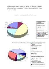 Biudžetas ir jo balansavimas 2 puslapis