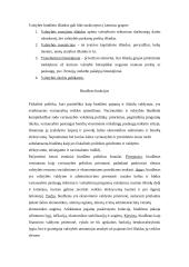 Biudžetas ir jo balansavimas 3 puslapis