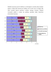Biudžetas ir jo balansavimas 4 puslapis