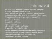 Baltų gentys (skaidrės) 12 puslapis