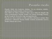 Baltų gentys (skaidrės) 14 puslapis