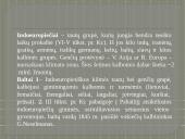 Baltų gentys (skaidrės) 5 puslapis