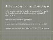 Baltų gentys (skaidrės) 10 puslapis