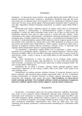 Branduolys