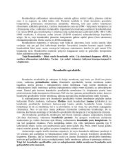 Branduolys 2 puslapis