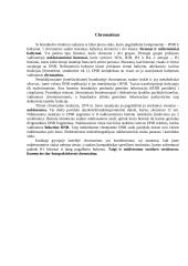 Branduolys 3 puslapis