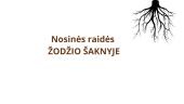 Nosinių raidžių rašyba žodžio šaknyje 4 puslapis