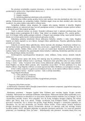 Būties teorija (ontologija) 12 puslapis