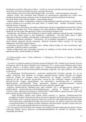 Būties teorija (ontologija) 13 puslapis