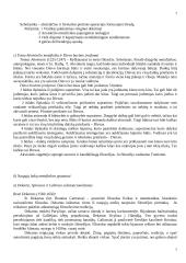 Būties teorija (ontologija) 7 puslapis